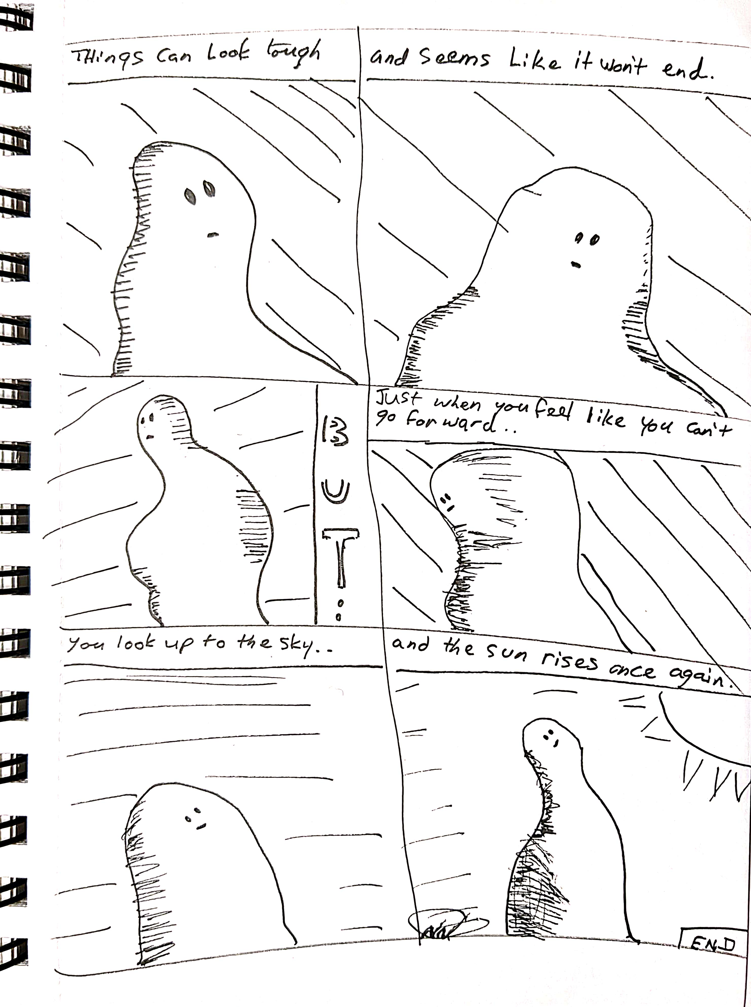 ducks