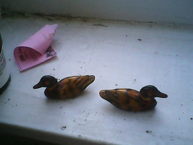 ducks