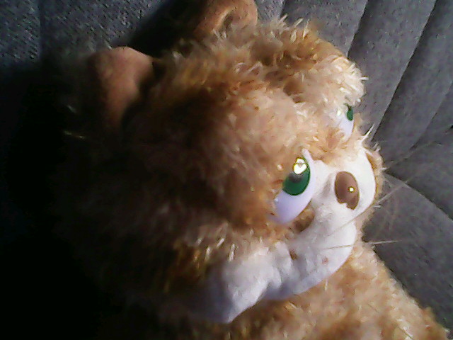 garf1