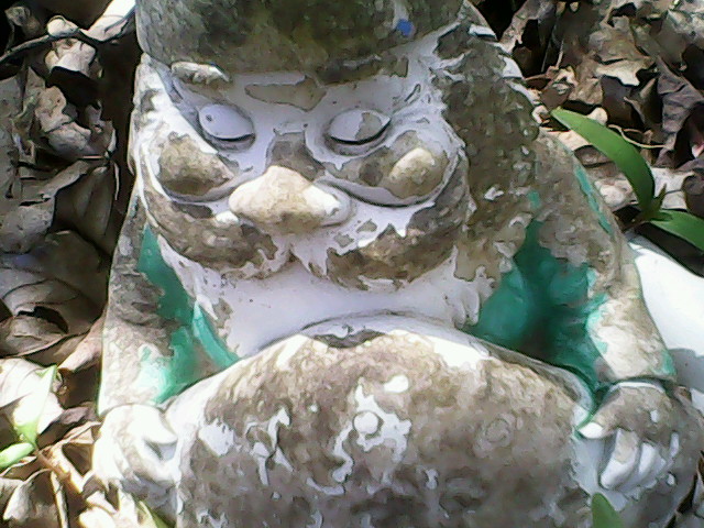 gnome
