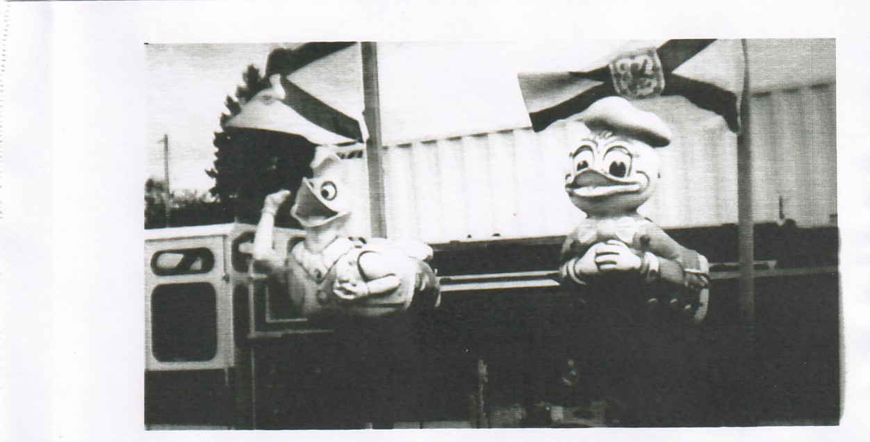 ducks