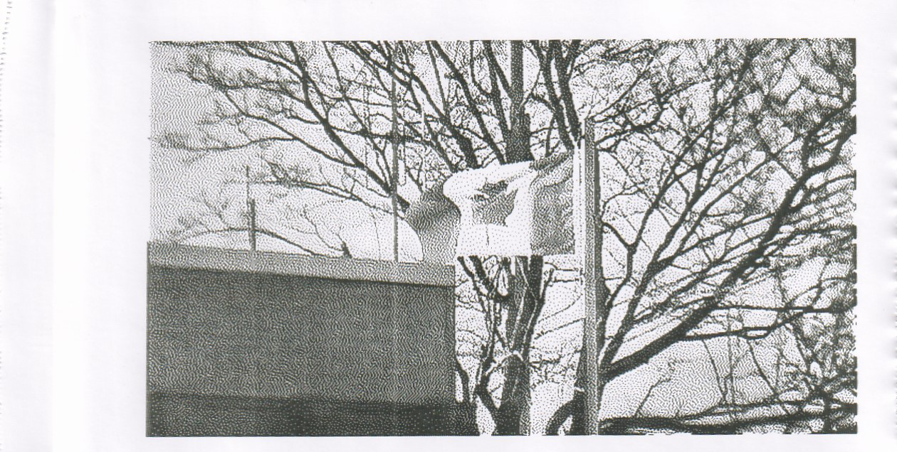 flag